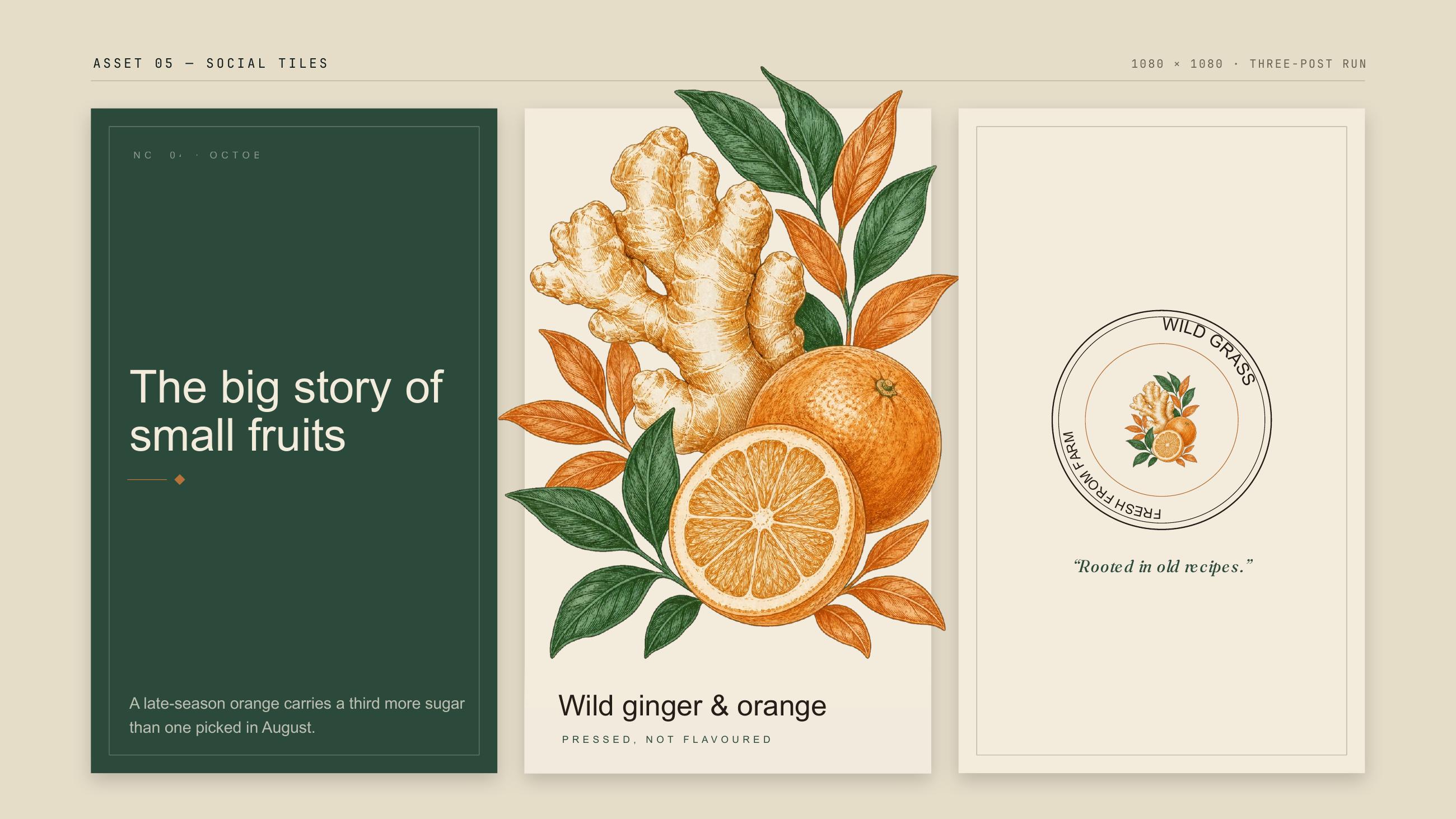 Wild Grass identity — 6